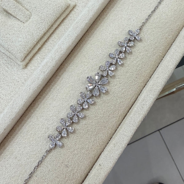 Set Plata Max