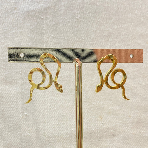 Aretes serpiente