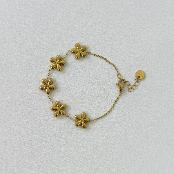 Mix Florillina